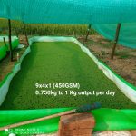 Azolla Bag Size  9x4x1 Feet - Image 2