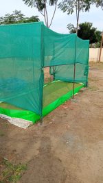 Azolla Bag Size  9x4x1 Feet